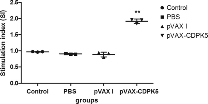 FIG 2