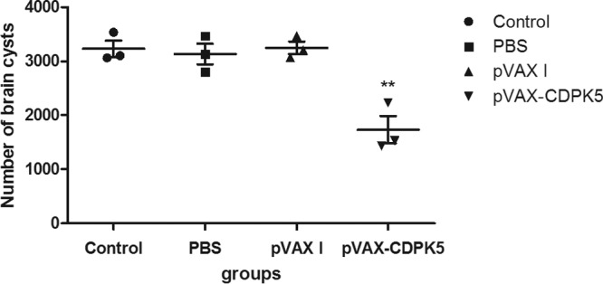 FIG 5