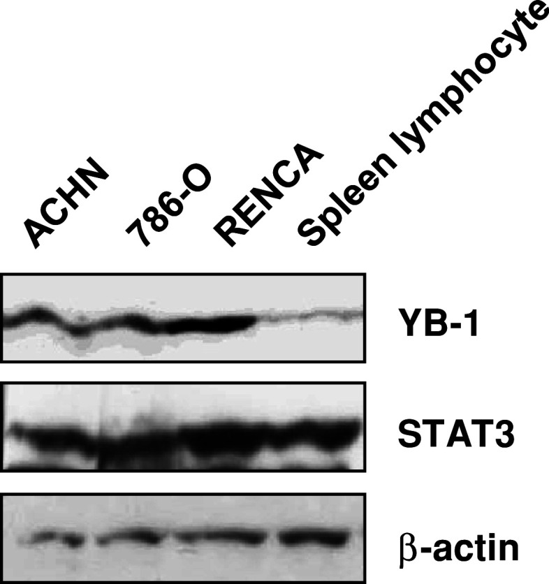 Fig. 5