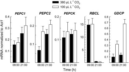 Figure 3.