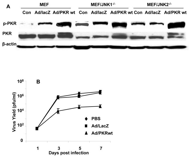 FIG. 6