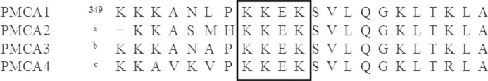 FIGURE 10.