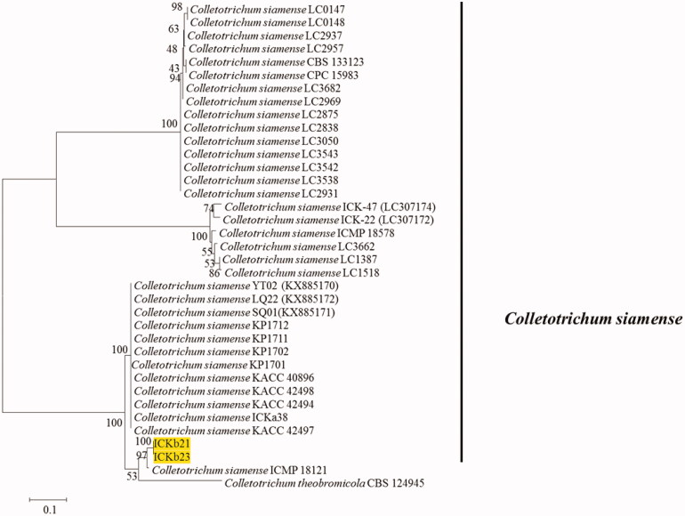 Figure 2.