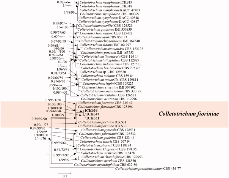 Figure 3.