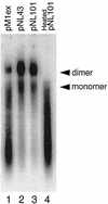 FIG. 7