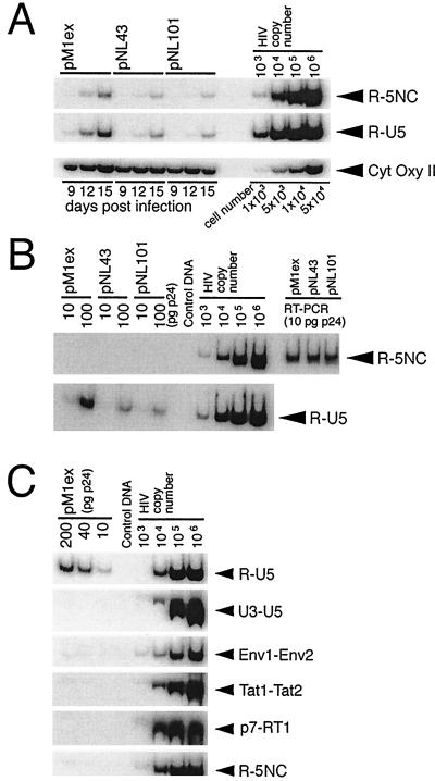 FIG. 6