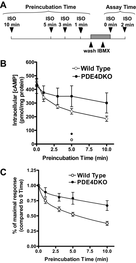 FIGURE 11.