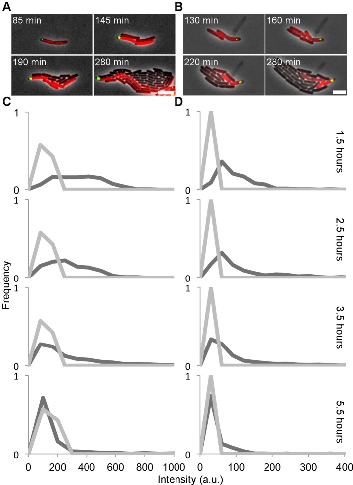 Fig 4