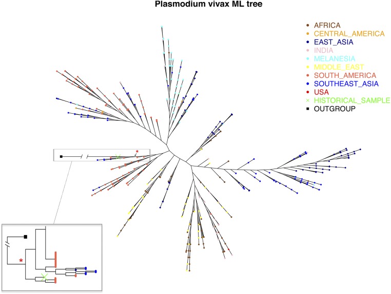 Fig. S3.