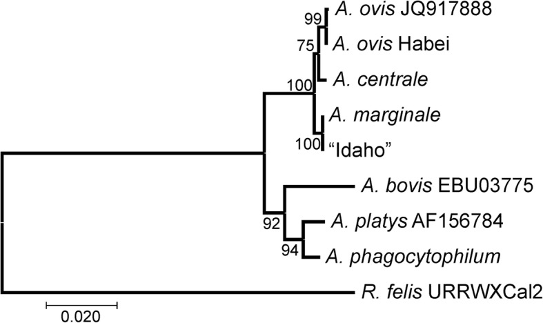 Fig. 2