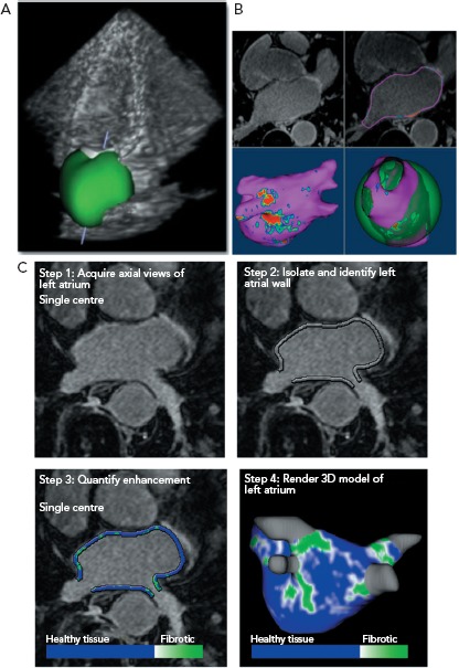 Figure 1: