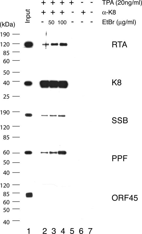 FIG. 9.