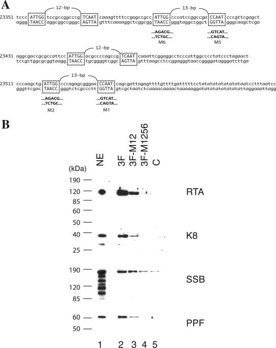 FIG. 7.