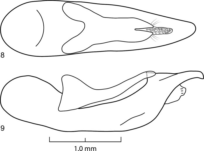 Figures 8–9.