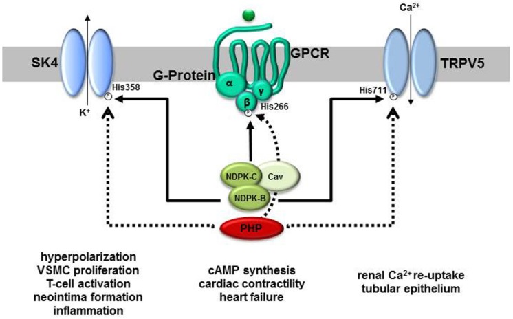 FIGURE 2