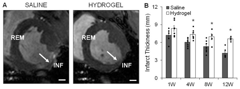 Fig. 5