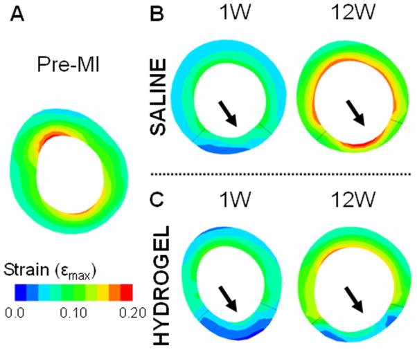 Fig. 7