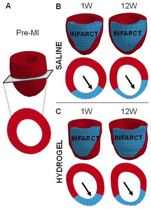 Fig. 6