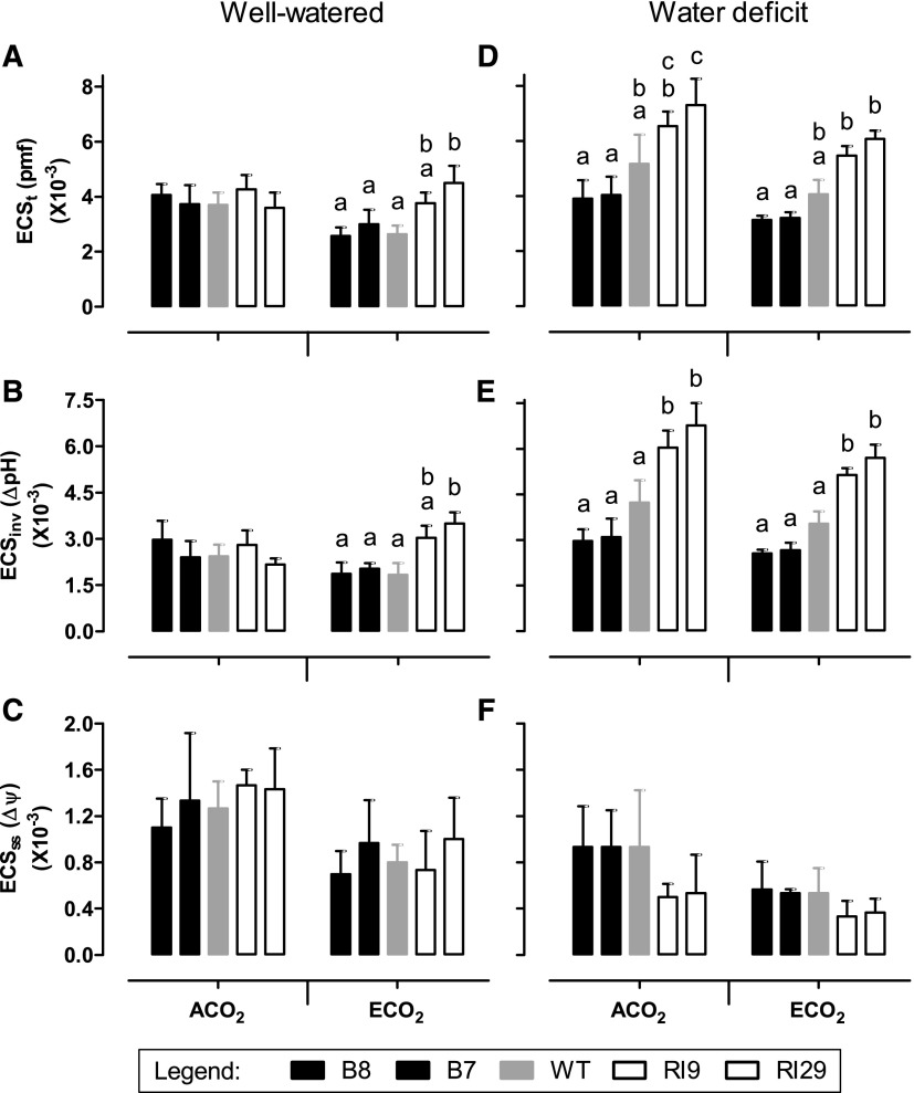 Figure 11.