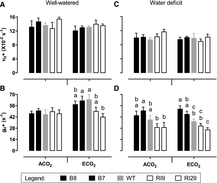 Figure 12.