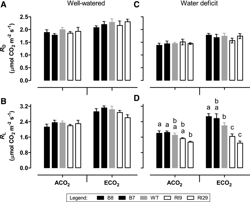 Figure 13.