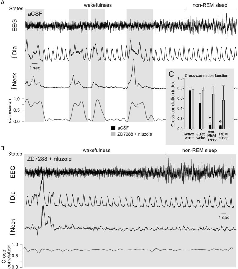 Figure 10.