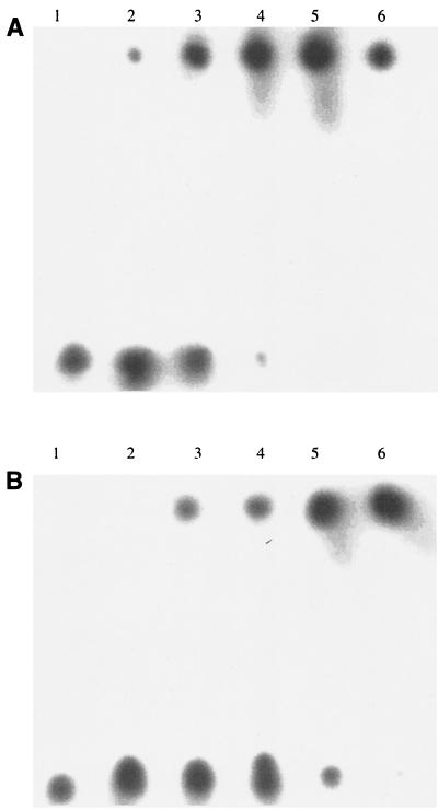 FIG. 7