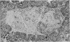 1070-1