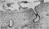 1070-1