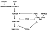 Fig 8