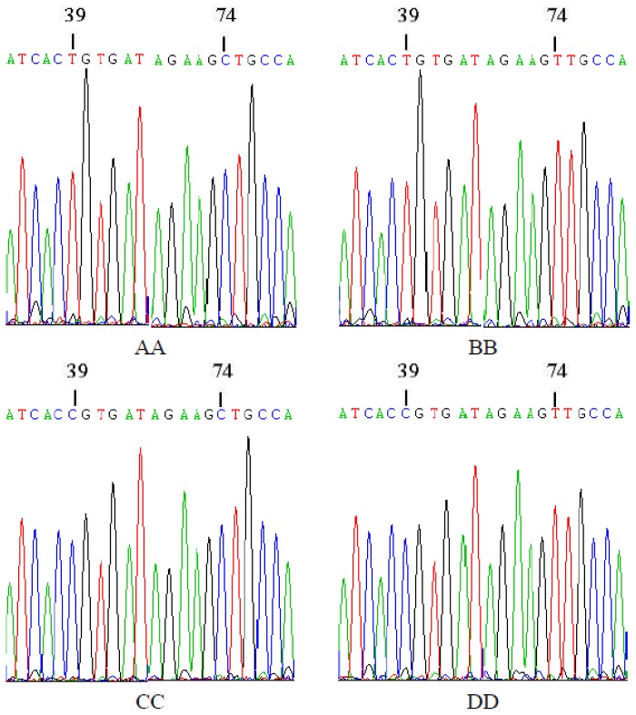 Figure 2.