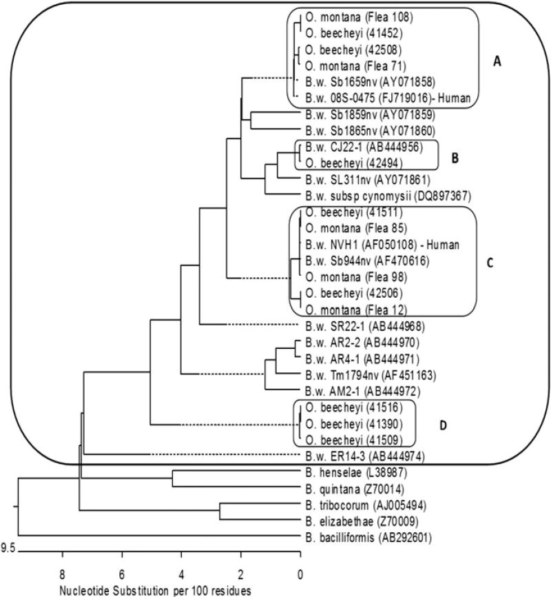 FIG. 1