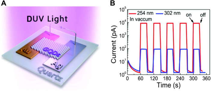 FIGURE 13