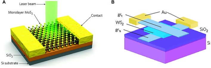 FIGURE 9