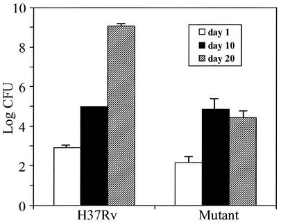 FIG. 5.