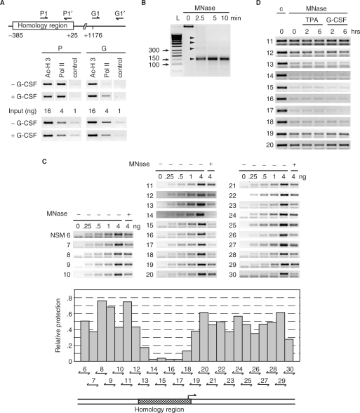 Figure 4.