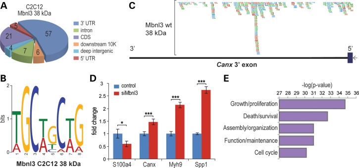 Figure 2.