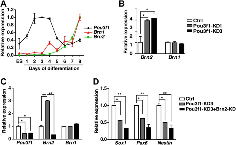 Figure 1—figure supplement 2.