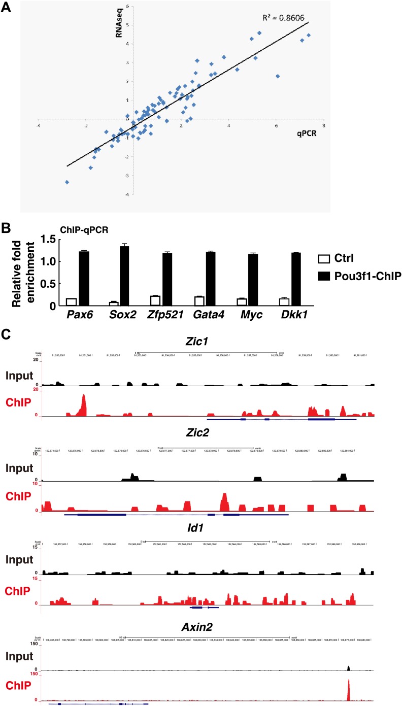 Figure 4—figure supplement 1.