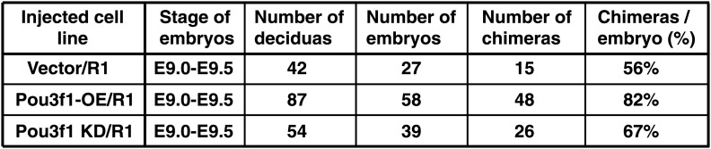 Figure 3—figure supplement 1.