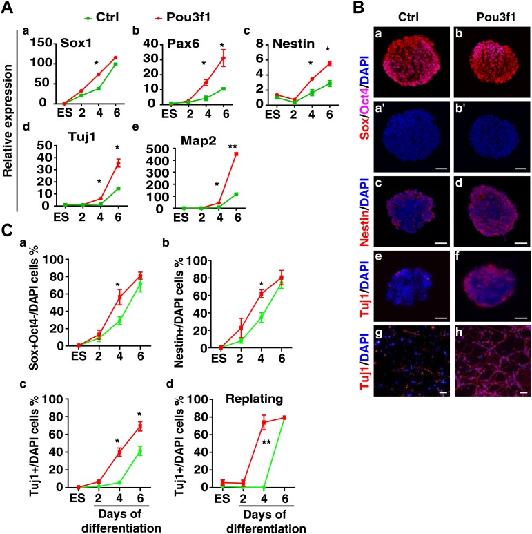 Figure 1—figure supplement 3.