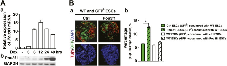 Figure 1—figure supplement 4.