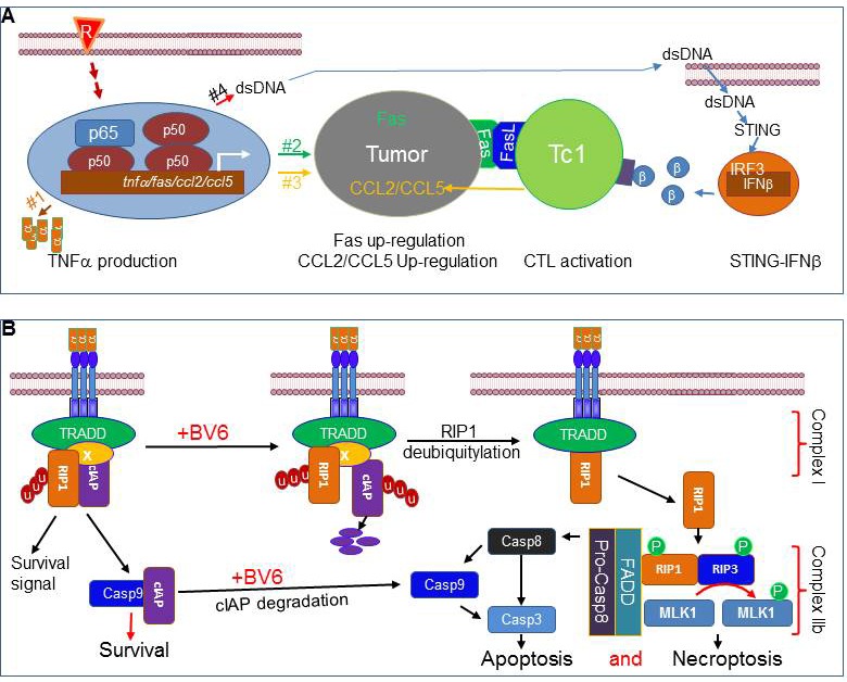 Figure 14