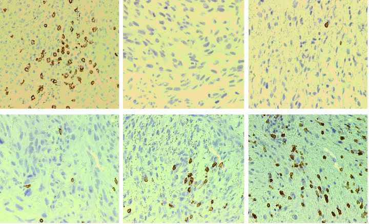 Figure 13