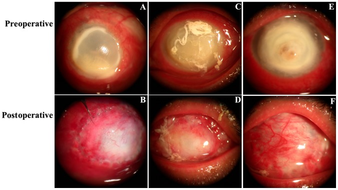 Figure 3.