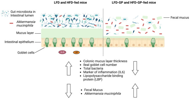 graphic file with name microbiol-08-04-035-g005.jpg