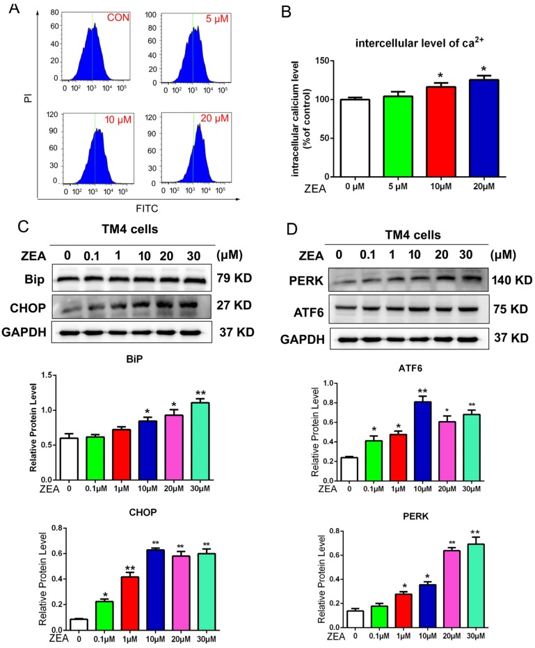 Figure 5