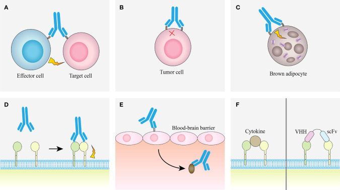 Figure 4