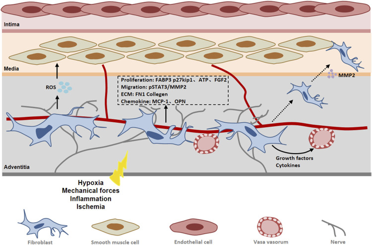 FIGURE 4