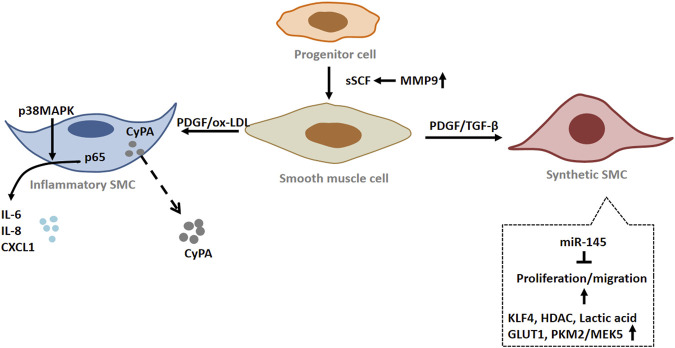 FIGURE 3